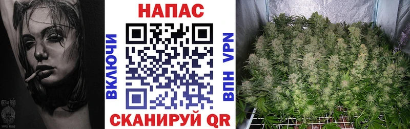 Наркошоп купить АМФ  COCAIN  Альфа ПВП  МЕФ  Марихуана  Бокситогорск