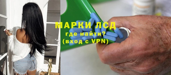 сатива Горнозаводск