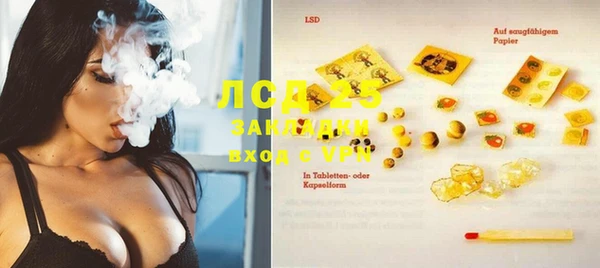 ГАЛЛЮЦИНОГЕННЫЕ ГРИБЫ Горняк