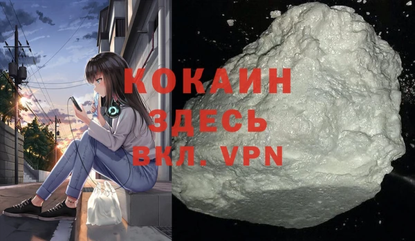 ГАЛЛЮЦИНОГЕННЫЕ ГРИБЫ Горняк