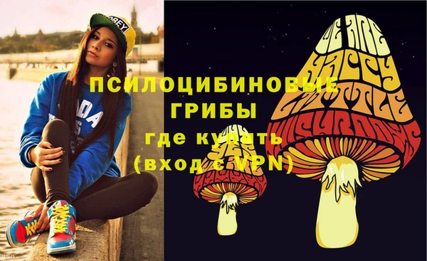 ГАЛЛЮЦИНОГЕННЫЕ ГРИБЫ Горняк