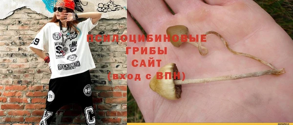 ECSTASY Горно-Алтайск