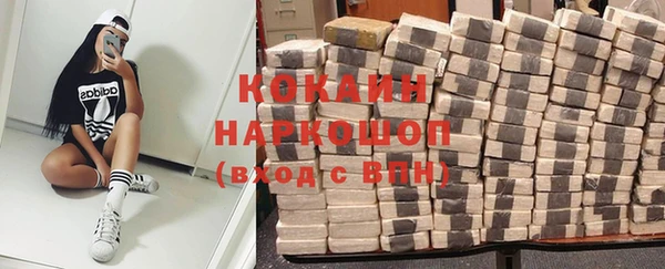 сатива Горнозаводск