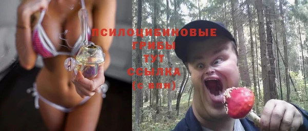 сатива Горнозаводск