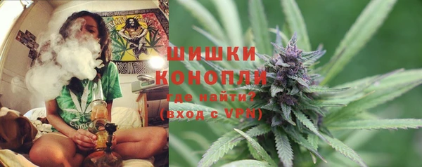 ГАЛЛЮЦИНОГЕННЫЕ ГРИБЫ Горняк