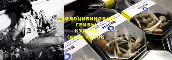 ГАЛЛЮЦИНОГЕННЫЕ ГРИБЫ Горняк