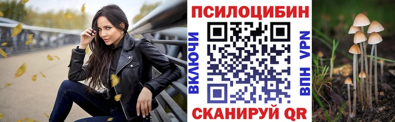Псилоцибиновые грибы мицелий  Купить где  Бокситогорск 